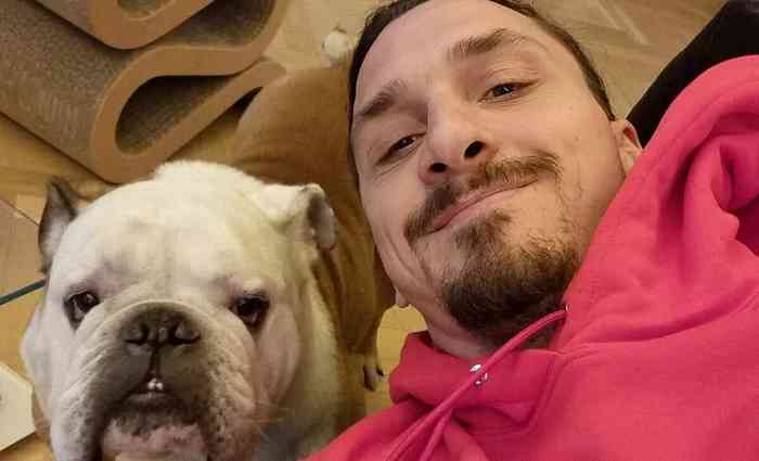 Ibrahimovic présente son nouveau chien sur Twitter