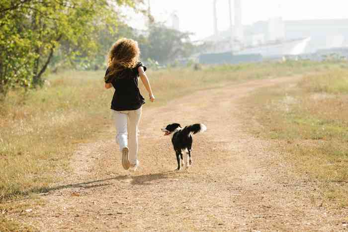 Le running avec son chien