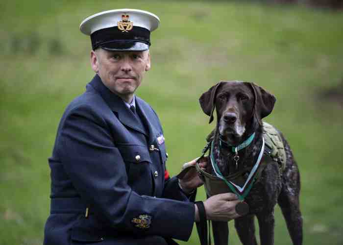 Hertz le chien récompensé de la Royal Air Force