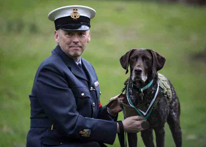 Hertz le chien récompensé de la Royal Air  Force