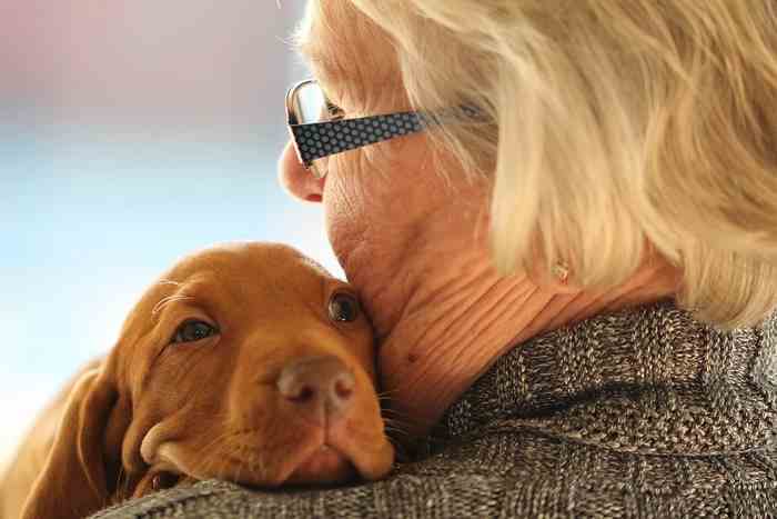 Les chiens soutiennent les personnes âgées