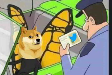 Elon Musk remplace le Blue Bird par un chien