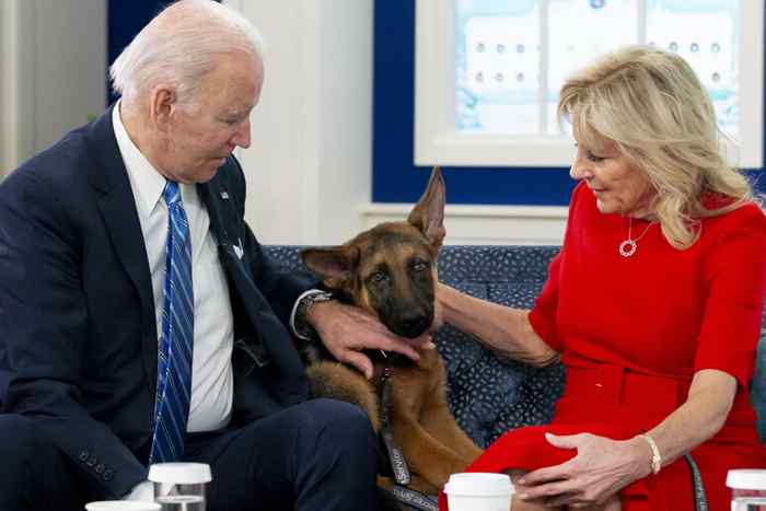 Commander le chien du couple présidentiel américain