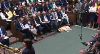 Londres, un chien au Parlement de Westminster